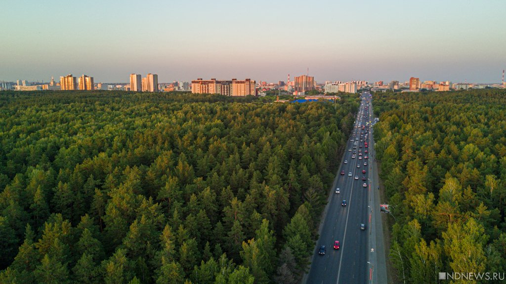 Дискуссия окончена: власти Челябинска ищут подрядчика для расширения дороги через городской бор
