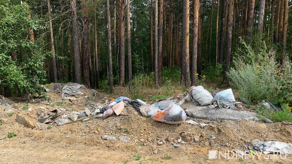 В лесопарках скопились кучи мусора. Никто не знает, куда на них жаловаться (ФОТО)