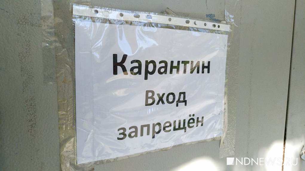 Число закрытых на карантин из-за ОРВИ классов в Челябинской области превысило девять сотен
