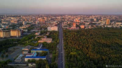 Власти Челябинска получили право рубить деревья без разбора