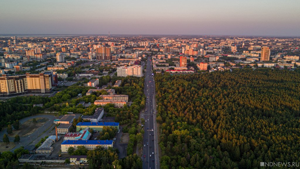 В Челябинске возбуждают уголовное дело по фактам незаконного освоения городского бора