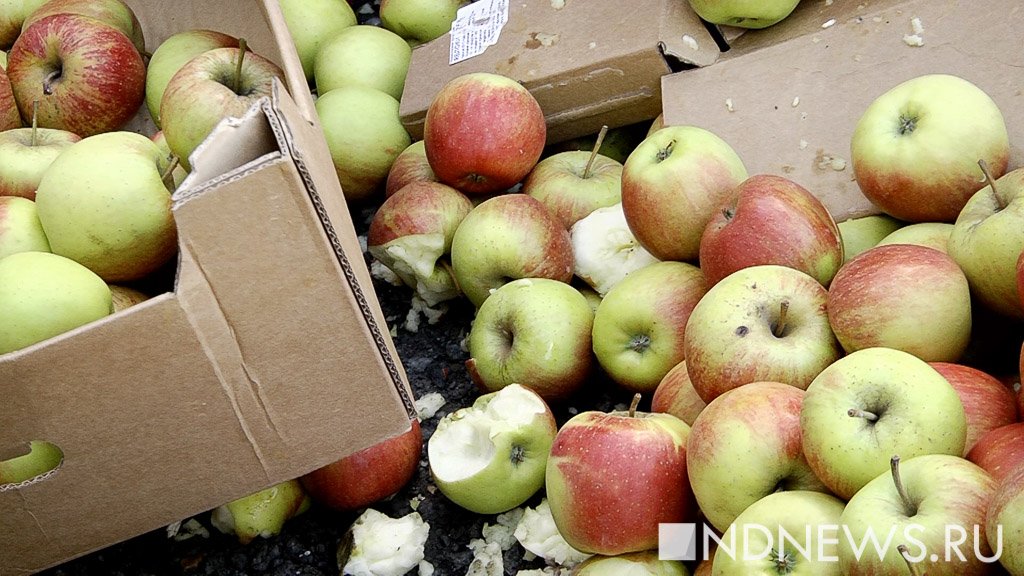 На Урал завезли 1,5 тонны зараженных яблок