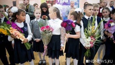 Минпросвещения боится социальной напряженности из-за переноса начала учебного года