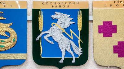 Депутаты утвердили главу Сосновского района