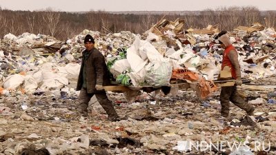 «Перерабатываем десятую часть»: «мусорная реформа» в России продолжает «буксовать»