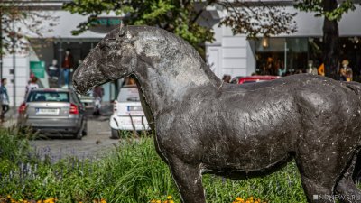 Выдающаяся лошадь: в Киеве предлагают снести памятник Щорсу частично