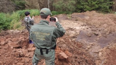 Кировское предприятие ответит за массовую гибель рыбы в реке