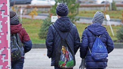 В одном из районов Челябинска неизвестные мужчины нападают на детей