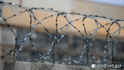 «Скопинский маньяк» освобожден из-под стражи