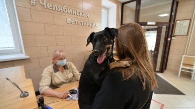 Челябинская ветстанция объявила декаду скидок