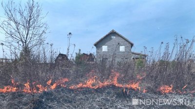 Ущерб от природных пожаров в Сибири оценили в 7 млрд рублей