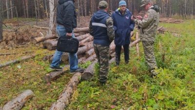 Общественники заявили о подозрительных вырубках в заказнике на Южном Урале