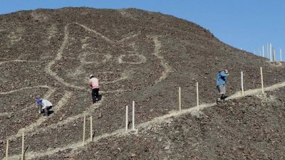 В Перу нашли огромное изображение котика возрастом более 2 тысяч лет