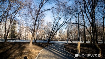 Екатеринбургские парки начнут обрабатывать от клещей с 12 апреля
