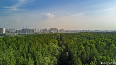 В Челябинске разгораются споры вокруг проекта «зеленого пояса»