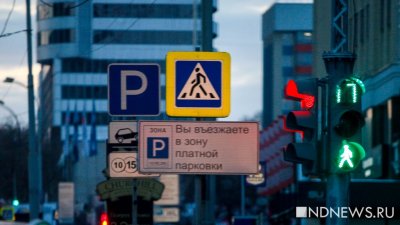 Многодетные семьи в Подмосковье не будут платить за парковку