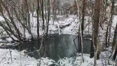 Лес у поселка Малышева залило фекальными стоками (ФОТО, ВИДЕО)