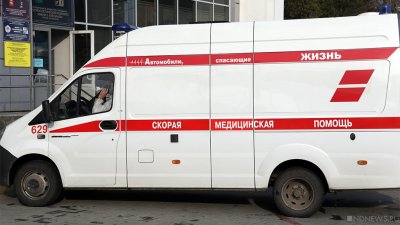 Пенсионер и его четырехлетняя внучка погибли в лобовом ДТП в Воронеже