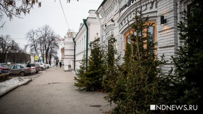 В Екатеринбурге снова резко потеплеет