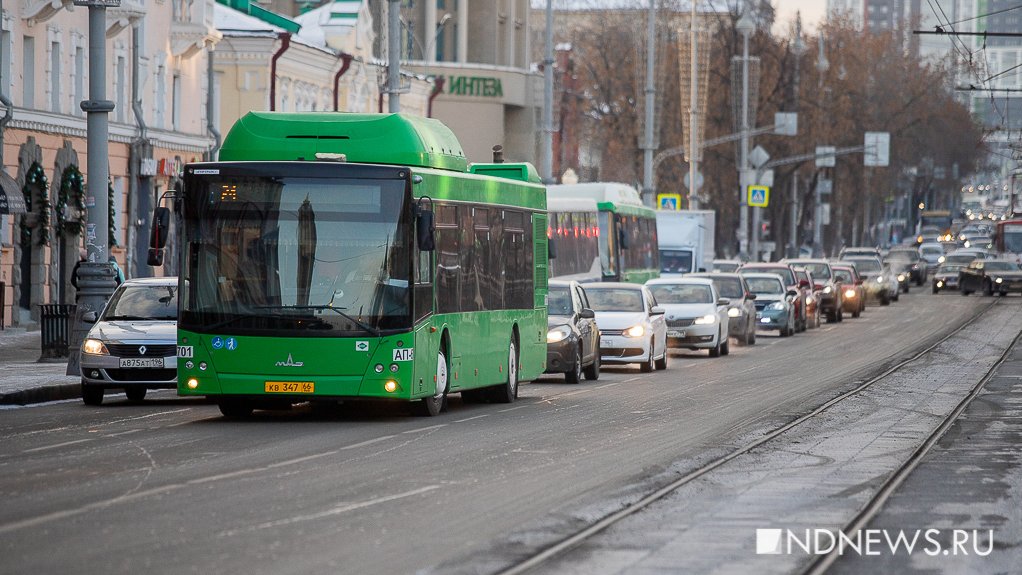 В Екатеринбурге появится еще пять выделенок для общественного транспорта