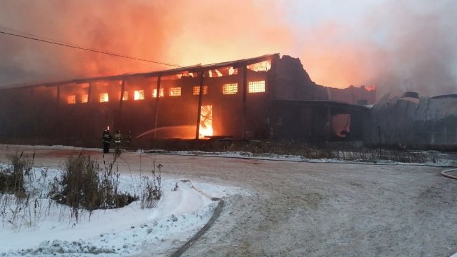 В Раменском произошел пожар на площади 8 тысяч квадратных метров