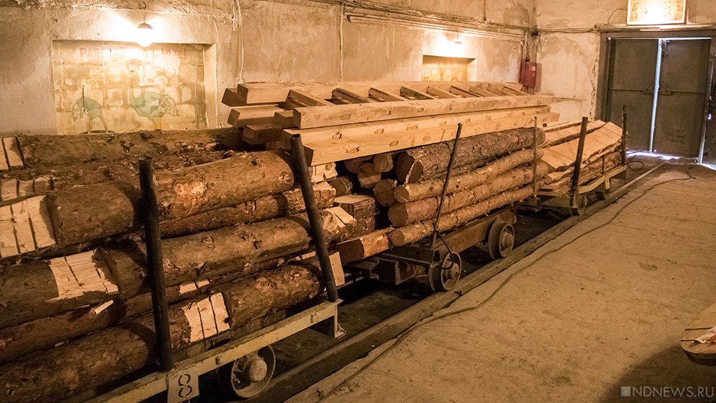 На Украине запретили экспорт «топливной древесины»