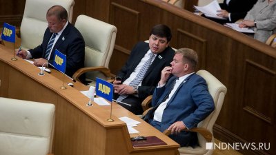 Депутат заксо от ЛДПР подал документы на участие в борьбе за пост мэра Екатеринбурга