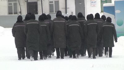 В Свердловской области более двух тысяч осужденных вышли по УДО