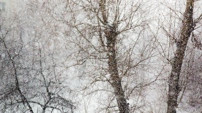 Гололед и мокрый снег: в Челябинской области объявлено штормовое предупреждение