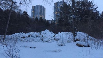 В Челябинский бор вывозят грязный снег в городских улиц