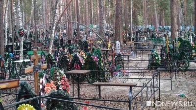Россияне начали экономить на похоронных услугах на фоне высокой смертности