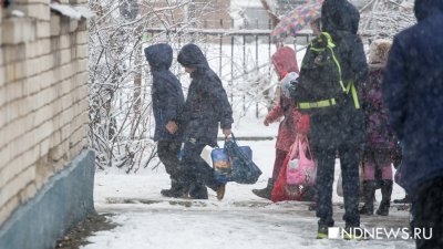 Детям Свердловской области разрешили не ходить в школу из-за аномальных морозов