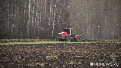 У фермера из Екатеринбурга в Крыму забирают законно купленную землю