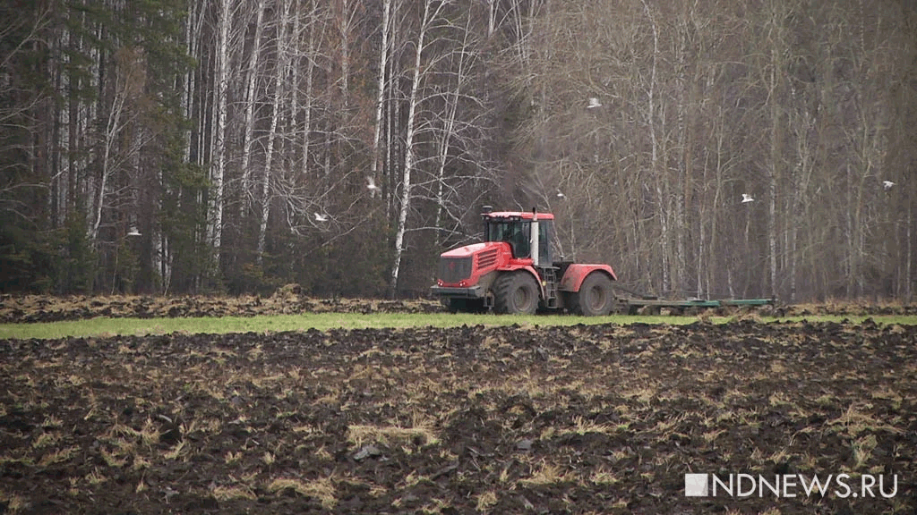 В России могут ввести регулирование цен на удобрения после жалоб фермеров