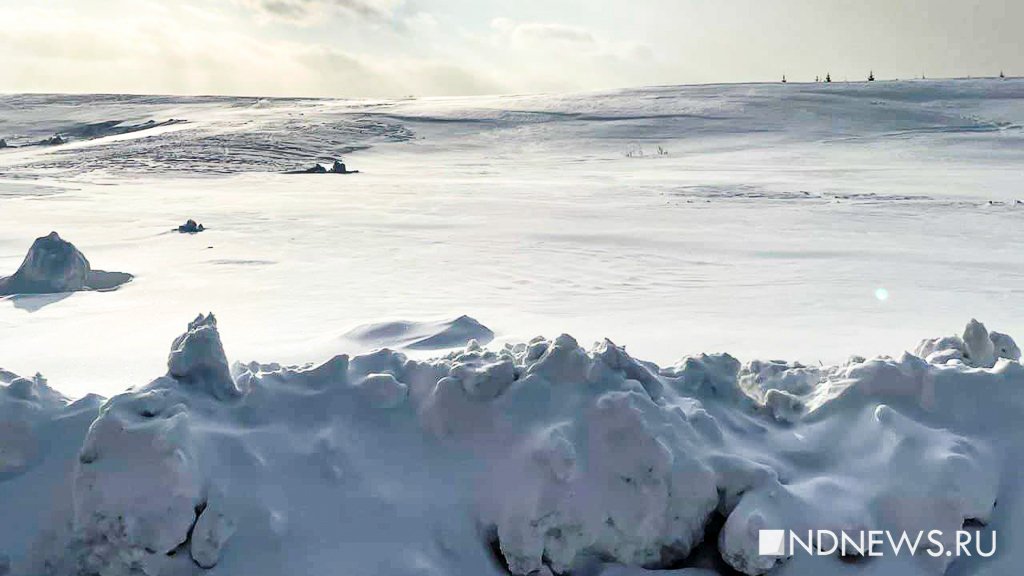В Антарктиде уральские ученые столкнулись со стихией, но нашли невиданный метеорит
