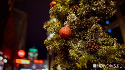 В Екатеринбурге районная администрация посреди марта объявила закупку на открытие новогодней елки