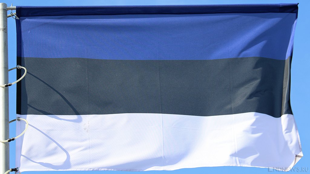 Эстонский парламент объявил Россию «спонсором терроризма»