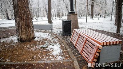 В Санкт-Петербурге дети нашли скелет ребенка в парке