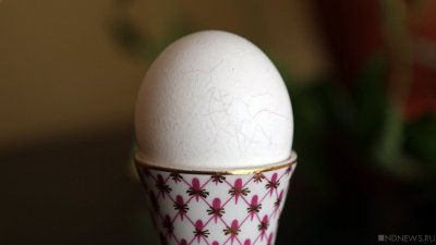 Врачи рассказали, как есть яйца, чтобы не получить серьезных проблем