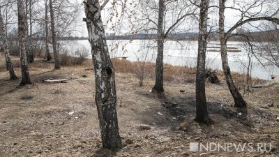 У аллергиков на Урале начались обострения: зацвели деревья