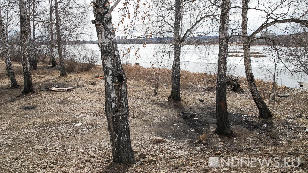 У аллергиков на Урале начались обострения: зацвели деревья