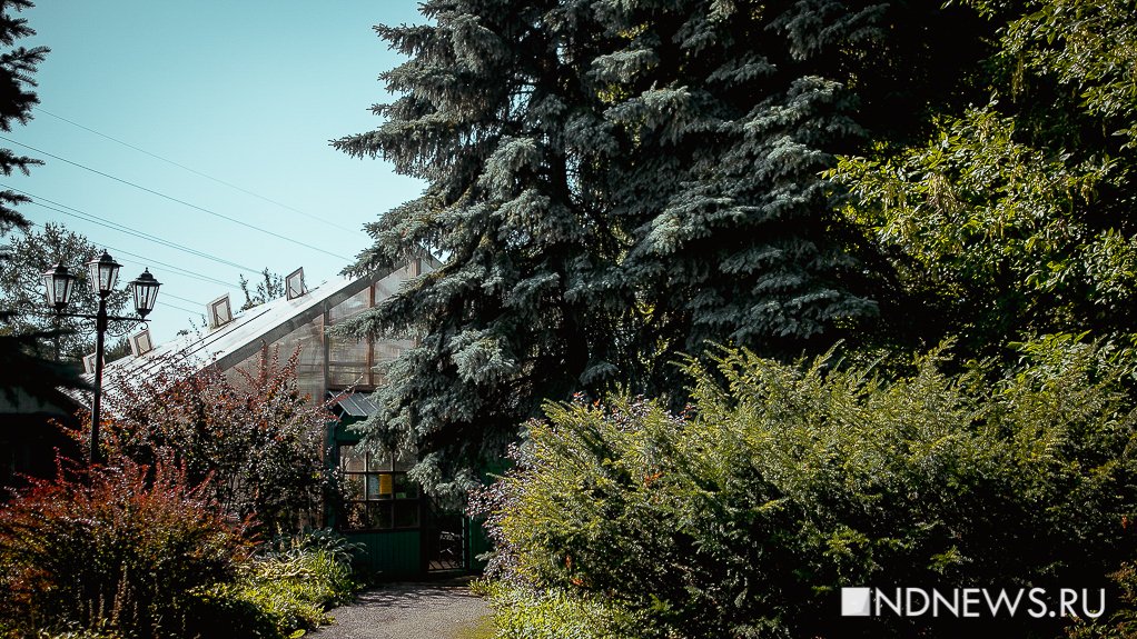 300 фактов о Екатеринбурге. На месте Ботанического сада раньше была бойня