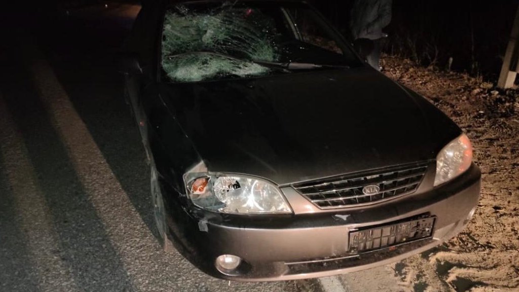 На трассе под Краснотурьинском водитель сбил двух пьяных пешеходов