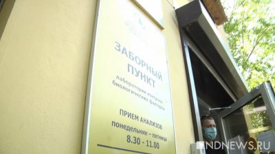 Пункты исследования клещей в Екатеринбурге будут работать все майские праздники