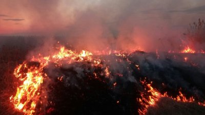 В Курганской области введен режим ЧС из-за пожаров и начата эвакуация в двух населенных пунктах