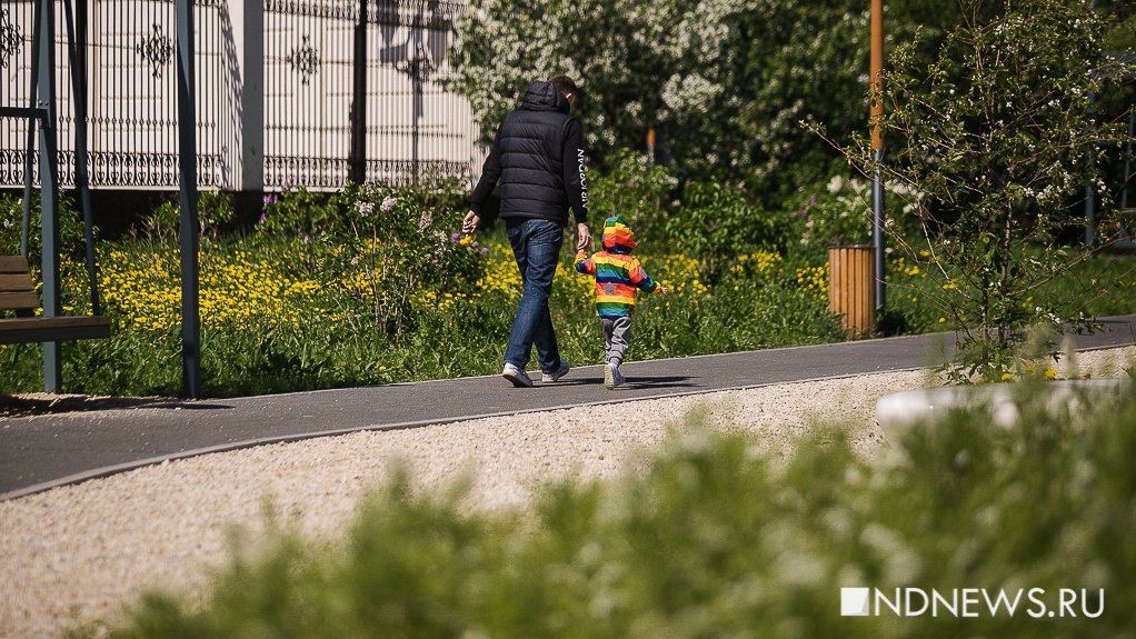 Где безопасно гулять в Екатеринбурге – список парков без клещей