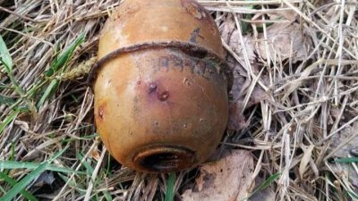 В Тюмени на берегу водоема в парке нашли гранату без запала
