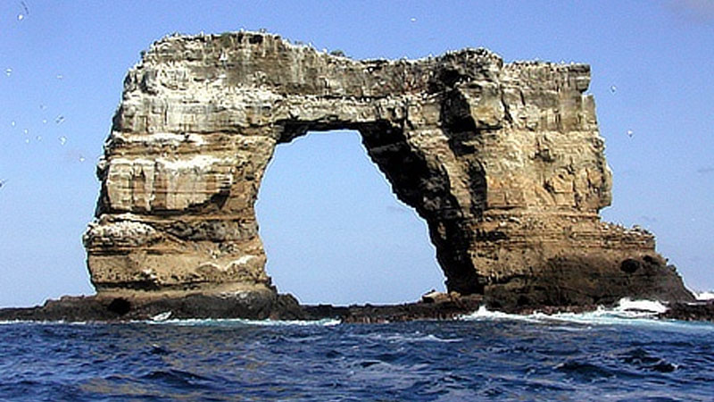 На Галапагосах рухнул символ островов – знаменитая Арка Дарвина (ФОТО)
