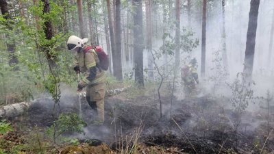 В пригороде Екатеринбурга горит лес (ФОТО)