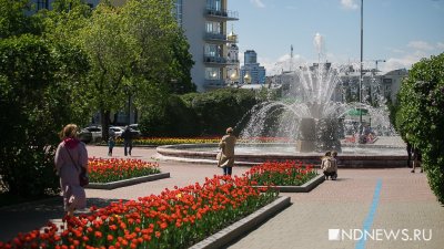 Екатеринбургу обещают потепление